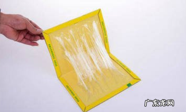 被老鼠粘粘到怎么洗,手被粘鼠贴粘住了洗不掉怎么办