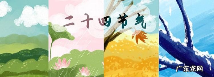 四季八节哪八个节,四季八节是指什么生肖