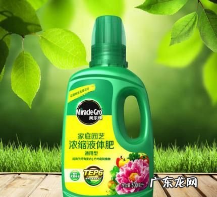 用剩的营养液如何处理,为了保持营养液的稳定性配置后的营养液需在多少时间内输完