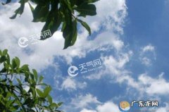 的夏至到入伏中间有多少天,入伏从什么时候开始什么时候结束