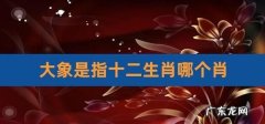 大肖是指什么生肖,十二生肖哪几个是大肖