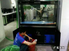 鱼缸消毒最简单的方法如下,鱼缸使用高锰酸钾鱼缸消毒方法