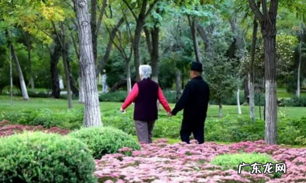 为母亲准备什么礼物,母亲节给母亲送什么礼物最合适手工