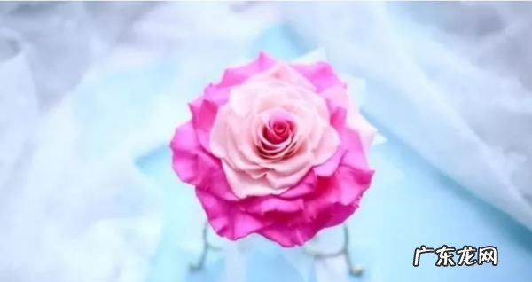 鲜花如何自制永生花,永生花的制作方法有哪些