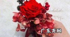 鲜花如何自制永生花,永生花的制作方法有哪些