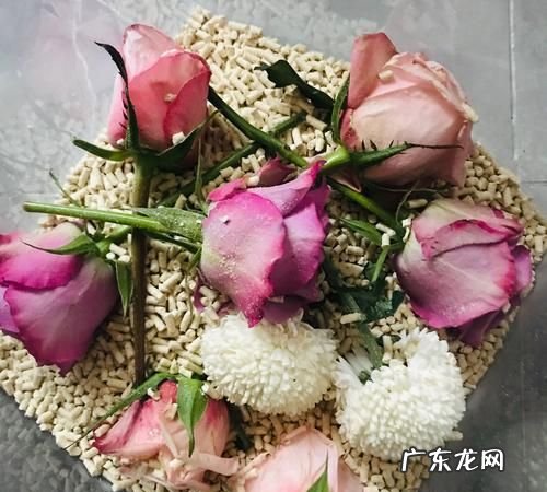 鲜花如何自制永生花,永生花的制作方法有哪些