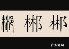 木木耳是什么字,木耳有念什么字拼音
