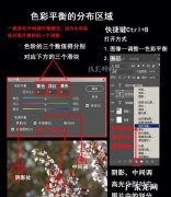 ps怎么调整白平衡,ps如何自动调白平衡
