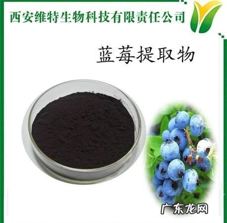 花青素在细胞的哪里,花青素主要位于细胞的什么中