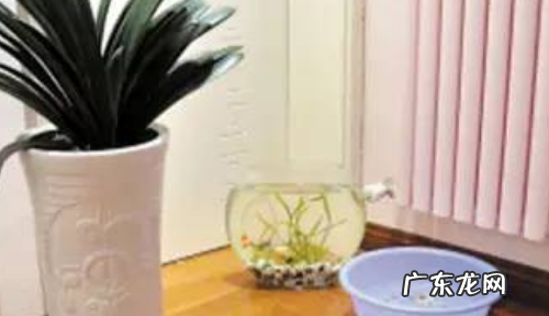 室内闷热怎么解决,怎么让房间不那么闷热