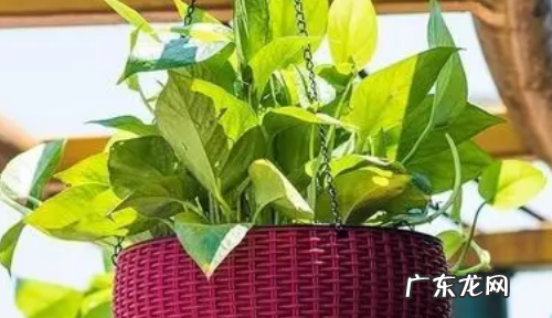 室内闷热怎么解决,怎么让房间不那么闷热