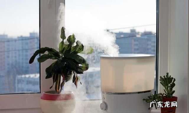 室内闷热怎么解决,怎么让房间不那么闷热
