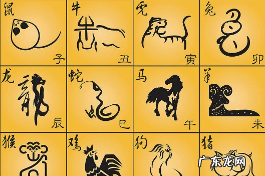 烟火独绽是什么生肖,烟花代表什么生肖动物
