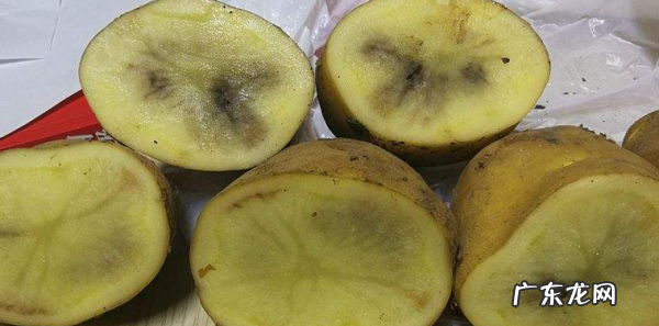 土豆削皮后发黑可以吃,土豆削皮后发黑可以吃