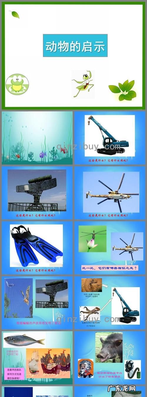 人从什么动物身上得到启示发明了什么,哪些发明是人类从动物身上得到启示的