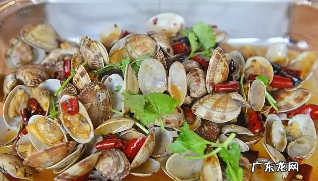 花蛤壳是厨余垃圾,花甲壳是什么垃圾