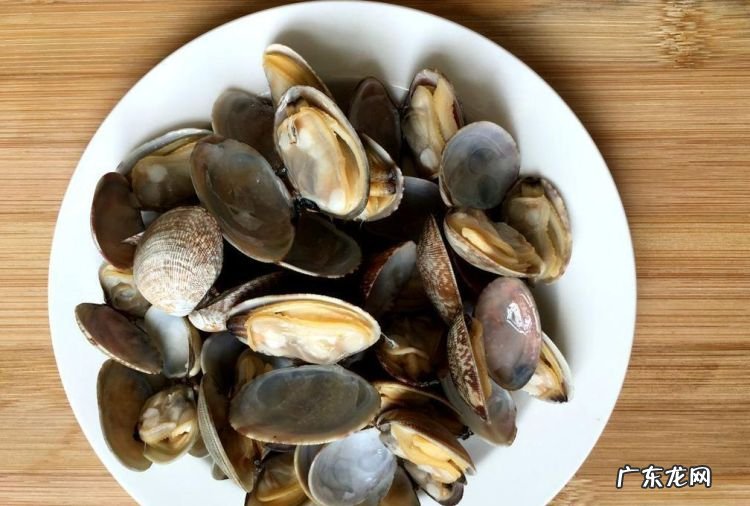 花蛤壳是厨余垃圾,花甲壳是什么垃圾