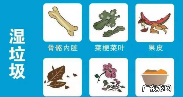 落树叶属于什么垃圾,落叶属于什么垃圾分类