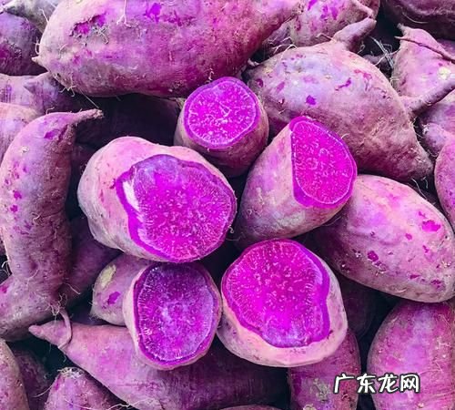 地瓜长出紫色的芽还能吃,红薯上长出紫色的苗能吃