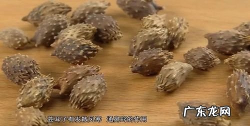 苍耳煮水一般煮多少粒,怎么煮苍耳