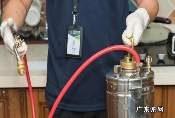 家里有蟑螂怎么处理,家里有蟑螂怎么办能除根