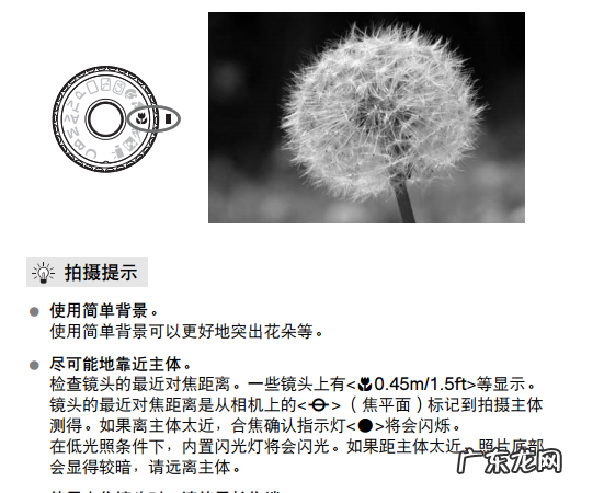 佳能60d怎么拍桂花,佳能60d转盘的各个模式都有什么特点