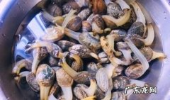 花蛤放冰箱里冻死了还能吃,花甲放冰箱冻死了开口了还能吃