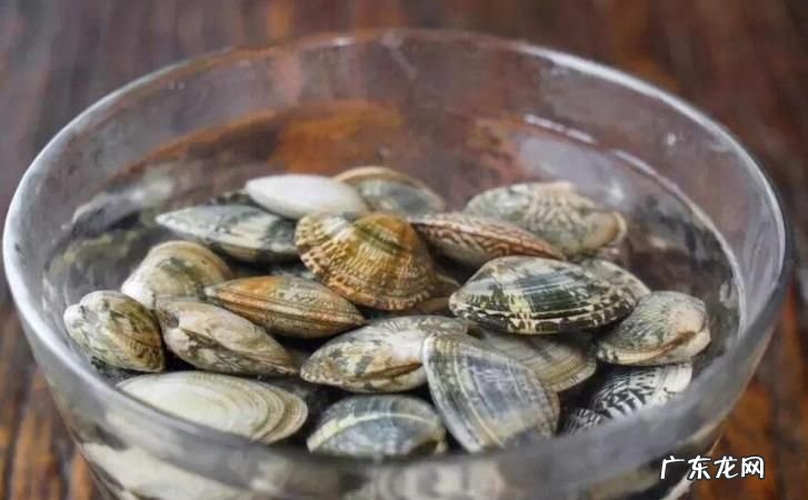 花蛤放冰箱里冻死了还能吃,花甲放冰箱冻死了开口了还能吃