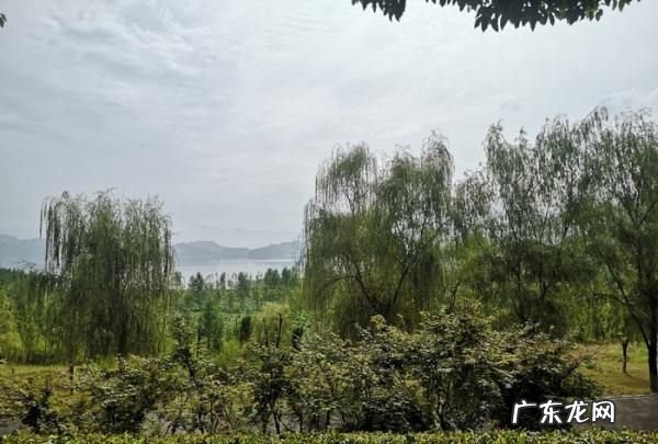 汉丰湖和西湖哪个大,汉丰湖作文结尾怎么写