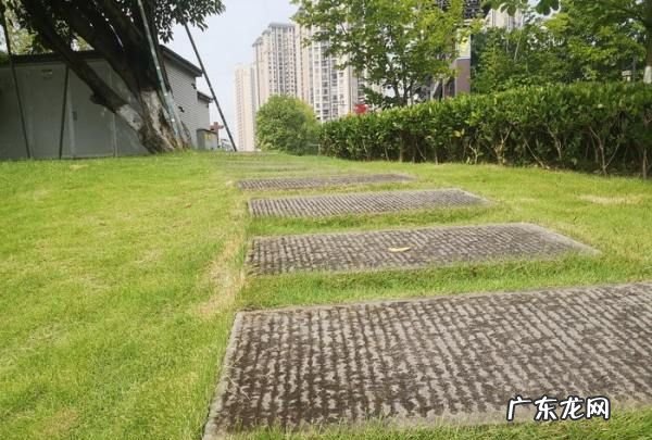 汉丰湖和西湖哪个大,汉丰湖作文结尾怎么写