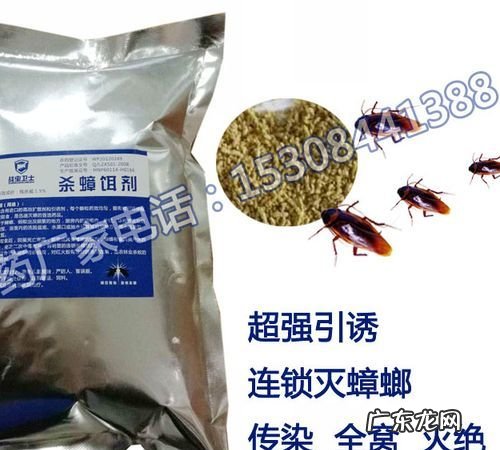 杀蟑螂最有效的药,有什么好用的杀蟑螂药