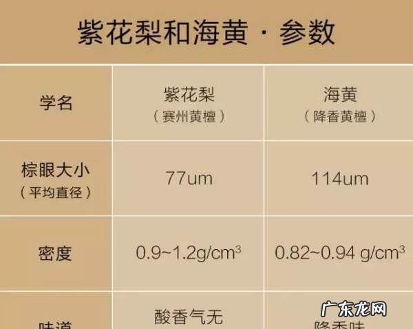 紫油梨鉴定方法,怎么样的海黄紫油梨才是极品