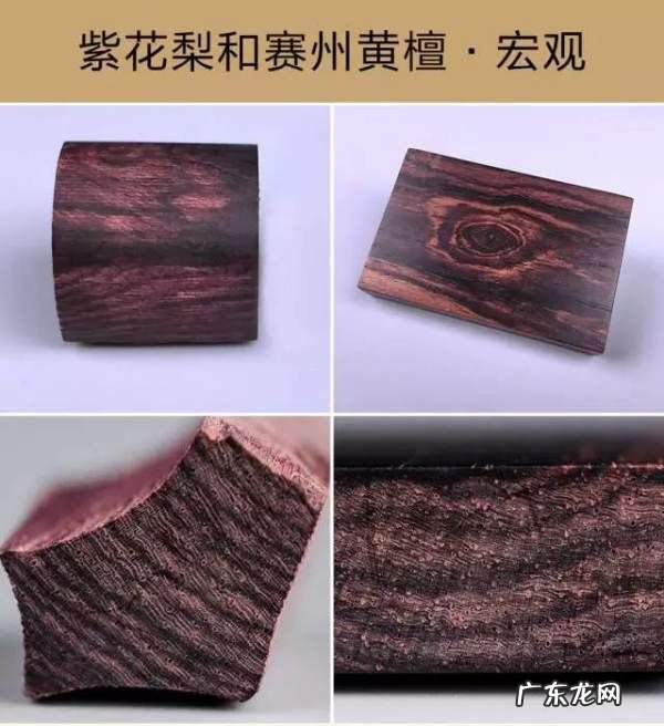 紫油梨鉴定方法,怎么样的海黄紫油梨才是极品