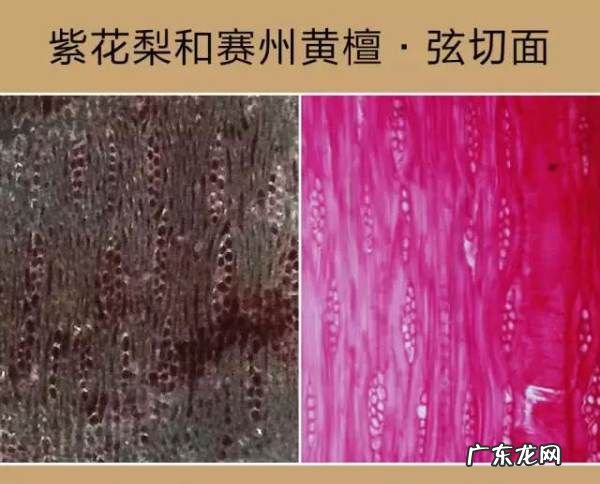 紫油梨鉴定方法,怎么样的海黄紫油梨才是极品