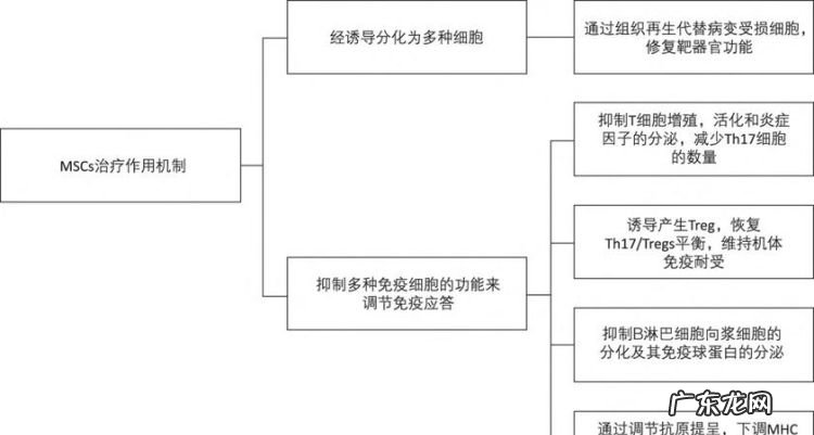 功能和作用是一样的,道德的功能和作用最大的区别是什么