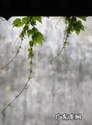 黄梅天怎么拖地才不潮,梅雨季节可以拖地板