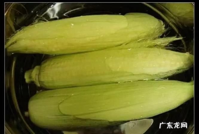 微波炉煮玉米要几分钟,微波炉煮玉米要几分钟窍门