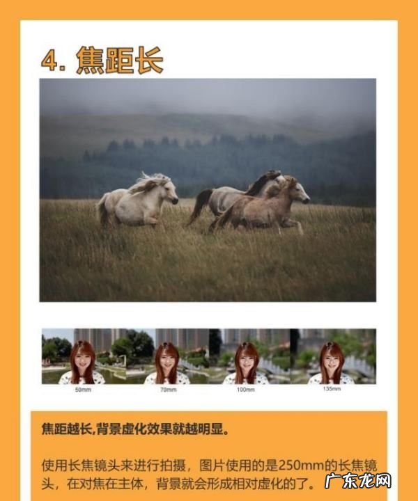 如何拍出背景虚化的照片,手机拍照怎么虚化背景