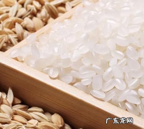 大米冷冻后影响口感,大米冷冻后煮饭会影响口感