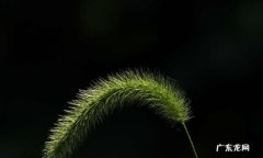 怎么样拍出黑色背景的照片,背景黑色的照片怎么拍出来的好看