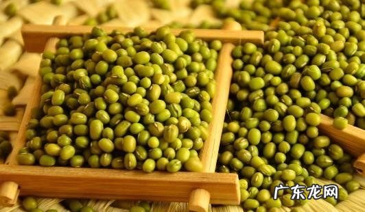 如何筛选出铁绿豆,怎样辨别绿豆的好坏