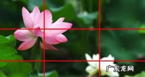 人像三要素是什么,人像摄影三要素