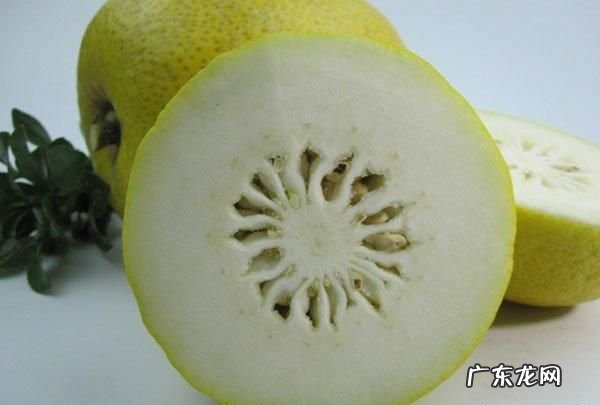 香橼和柠檬的区别,香橼和柠檬的区别