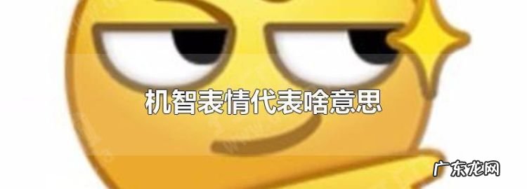 机智灵敏是什么意思,机敏是什么意思