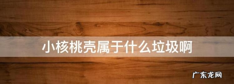 核桃壳分类是什么垃圾,核桃壳属于什么垃圾分类