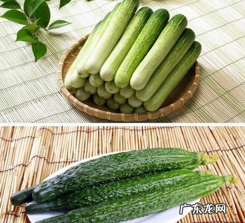 吃黄瓜的最佳时间,生吃黄瓜什么时间吃好