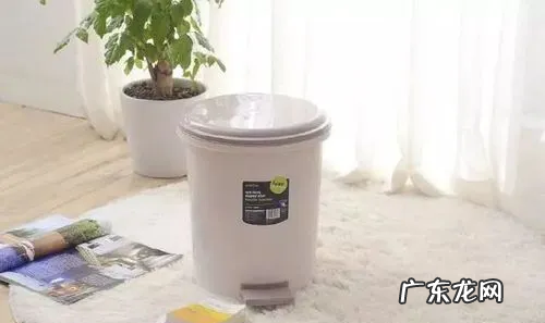 垃圾袋里的小飞虫是从哪里来的,有些垃圾放到一起放久了就生一些可以飞的小虫子虫子从哪里来的