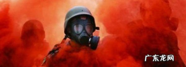 防毒面具是从哪种动物身上得到启示的,防毒面具是从哪些生物身上获得的启示和感受