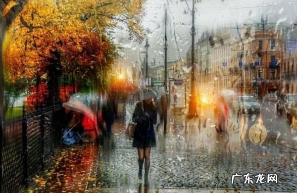 雨的种类有很多简单写一写当时的情景,下阵雨时的情景描写二年级作文