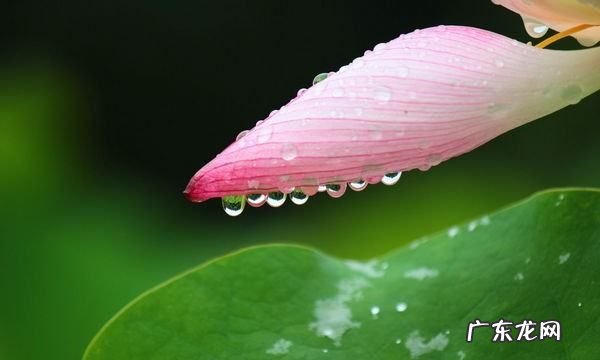 雨的种类有很多简单写一写当时的情景,下阵雨时的情景描写二年级作文
